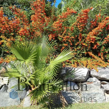 Beauvallon Properties Grimaud