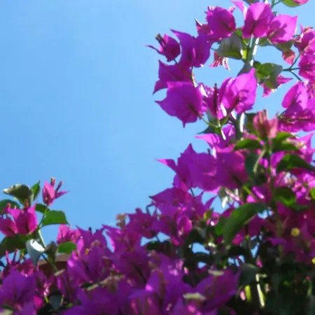 Beauvallon Properties Grimaud